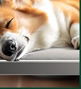 indoor dog bed-4