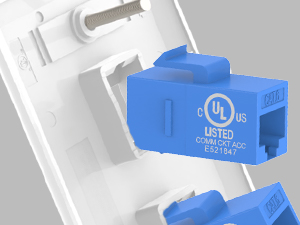 CAT6 WALL PLATE
