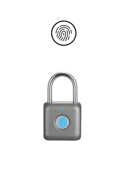 fingerprint lock