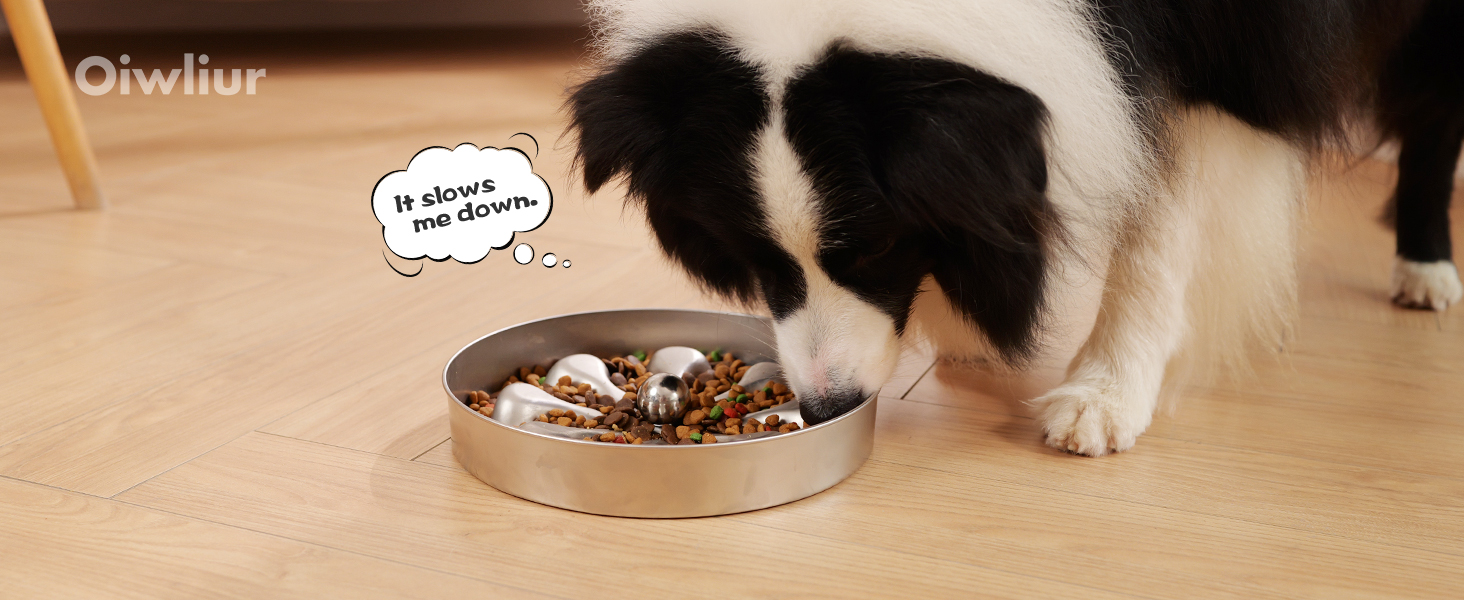 slow feeder dog bowls