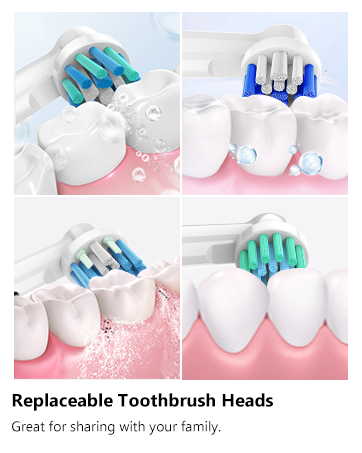 Toothbrush Heads