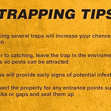 Tips
