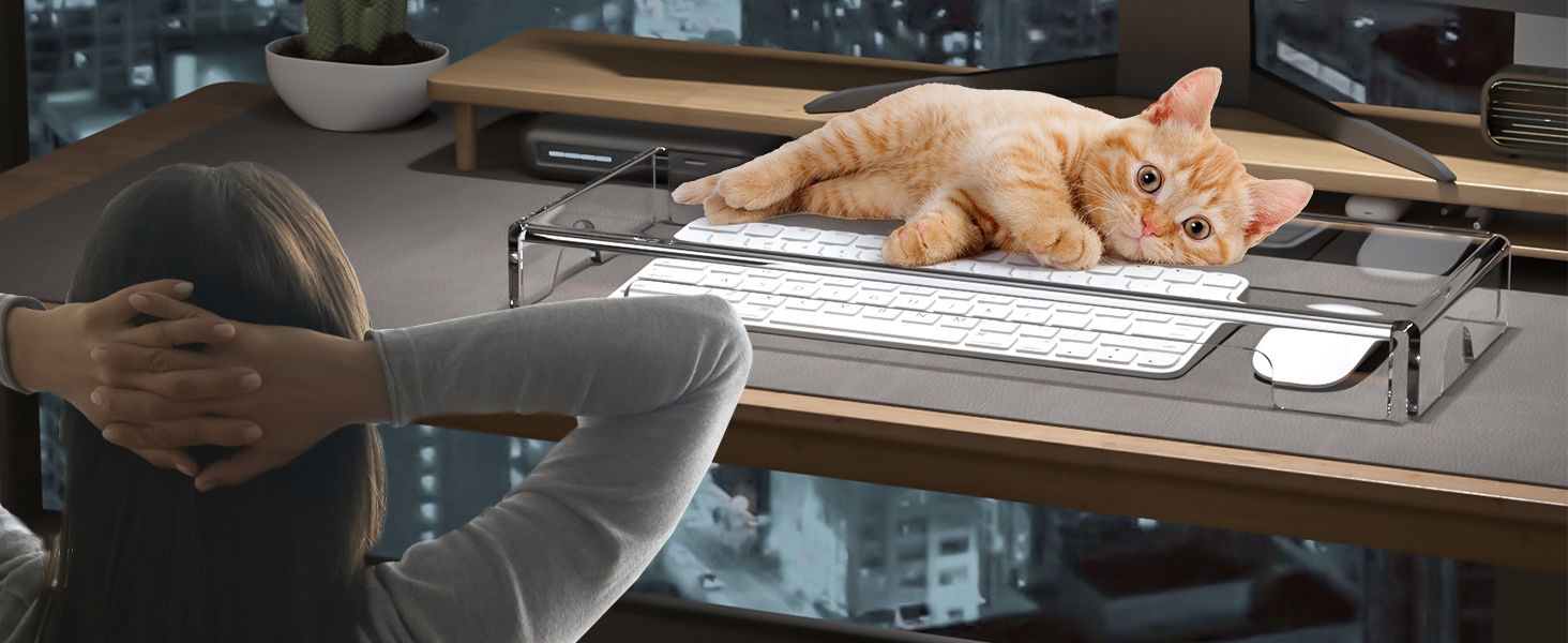 keyboard cat cover