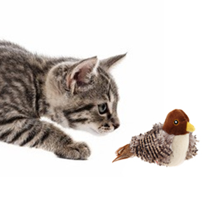 interactive cat to y