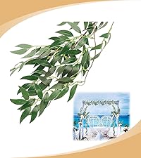 https://m.media-amazon.com/images/S/aplus-media-library-service-media/f17a51d5-fcbe-4c15-abc7-2fe10e8529cc.__CR0,0,800,900_PT0_SX200_V1___.jpg