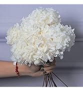 5 PCS Dried Preserved White Hydrangea Flowers - Length 14'' Corolla Size 3''-4'' Real Hydrangeas ...