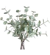 Coferset 6PCS Artificial Eucalyptus Stems, 17.7" Real Touch Eucalyptus Plants, Dual-Sided Faux Le...