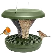 Green hanging bird feeder with wide roof, filled with seeds. Funnel-shaped transparent container, perforated base platform. Two small birds perched on opposite sides.