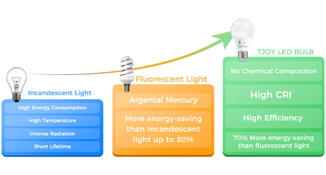 energy efficient light bulbs