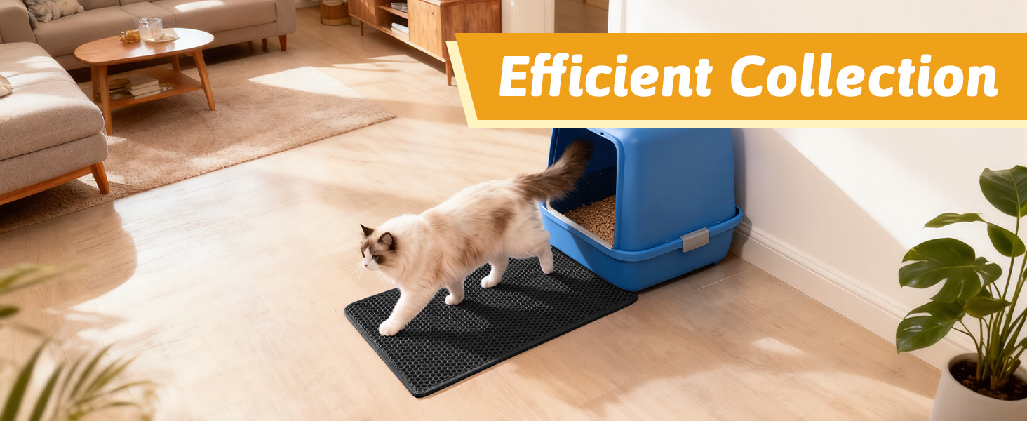 litter trapping mat