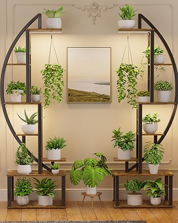 https://m.media-amazon.com/images/S/aplus-media-library-service-media/5e323b0d-c172-4d21-8eb0-83c01f826545.__CR161,0,1279,1600_PT0_SX362_V1___.jpg