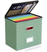 Oterri 1 Pack File Organizer Boxes with Lids, File Box with Mesh Pockets, Document Organizer Box ...