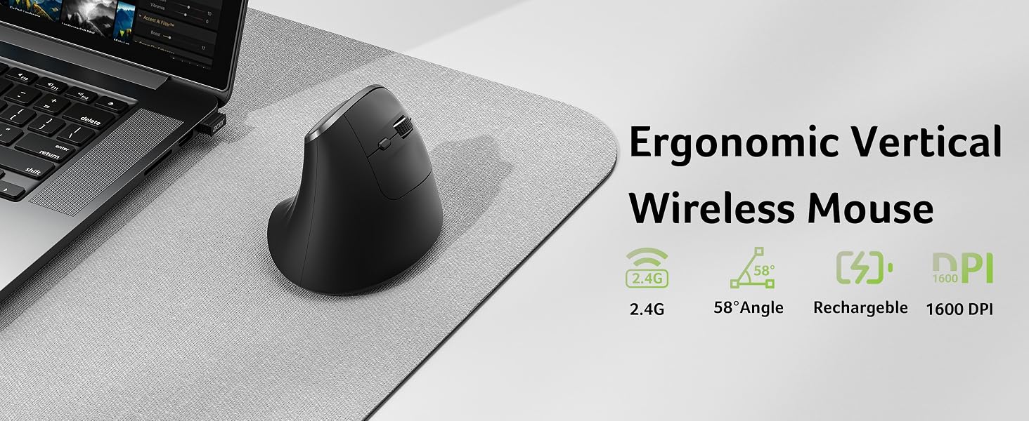 mouse