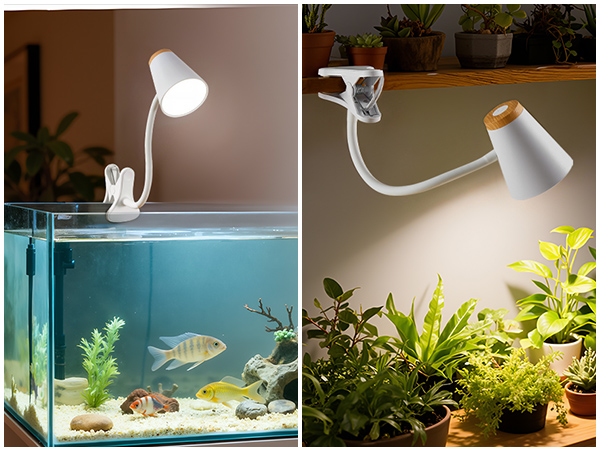 small desk lamp