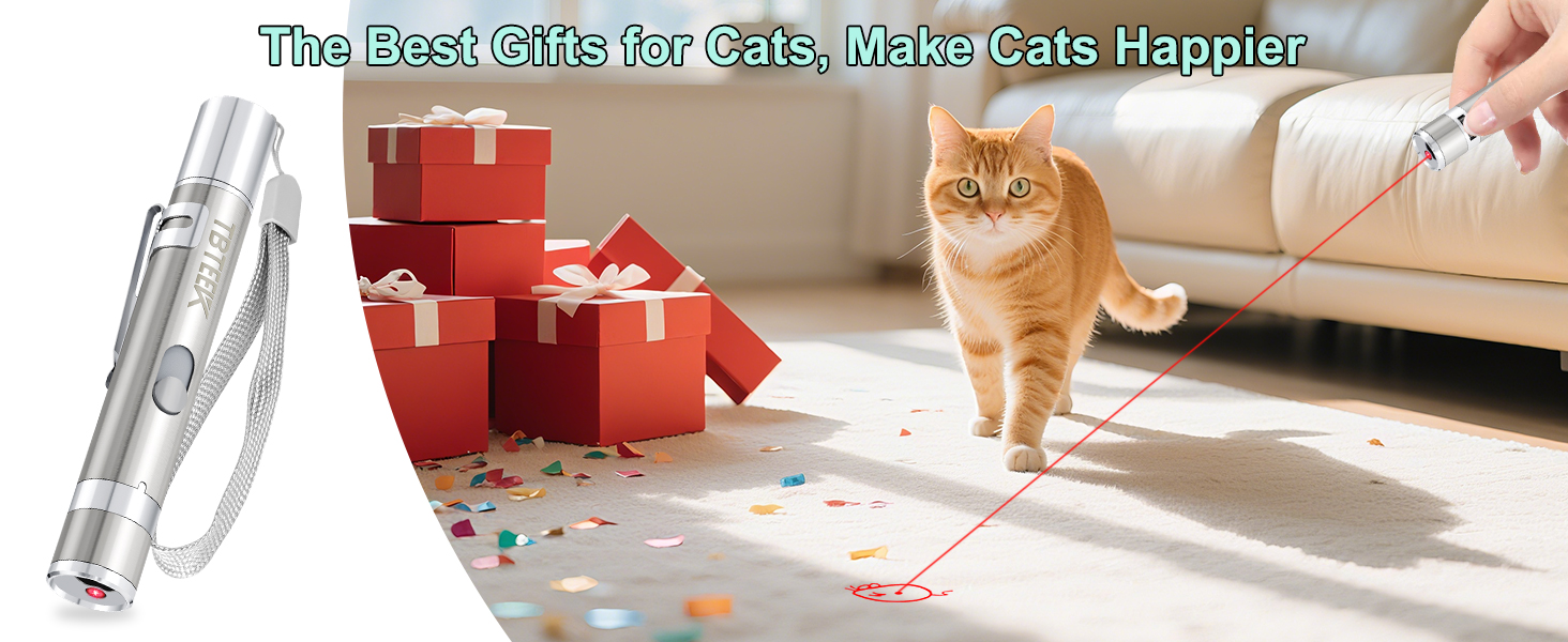 happy cat toy