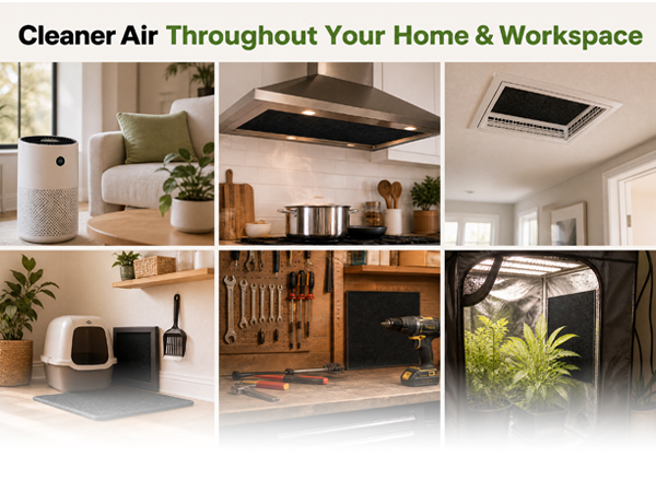Carbon filter for multiple indoor applications