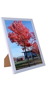 https://m.media-amazon.com/images/S/aplus-media-library-service-media/dc390912-5374-41e9-b28d-b543e33f0213.__AC_SR150,300___.jpg