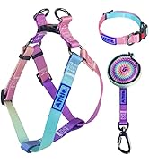 AIITLE Adjustable Dog Harness Collar Leash Set - Basic Collar Heavy Duty Leash - No Pull Dog Halt...