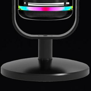 mic