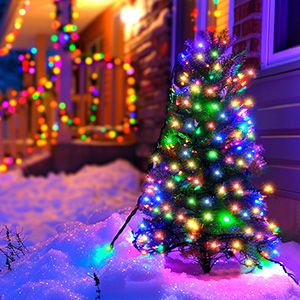 Outdoor Christmas scene with illuminated tree decorated with multicolored lights against snowy background. Purple and warm white lights create festive glow.