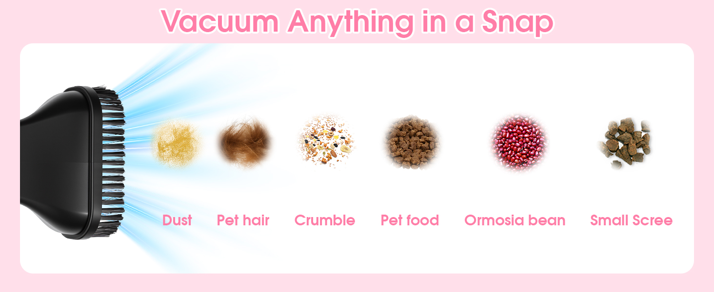 vacuum anything in a snap
