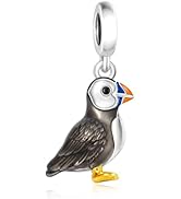 BSFJTY S925 Sterling Silver Bird Charms, Hummingbird Cardinal Kingfisher Animal Bead Charms, Red ...
