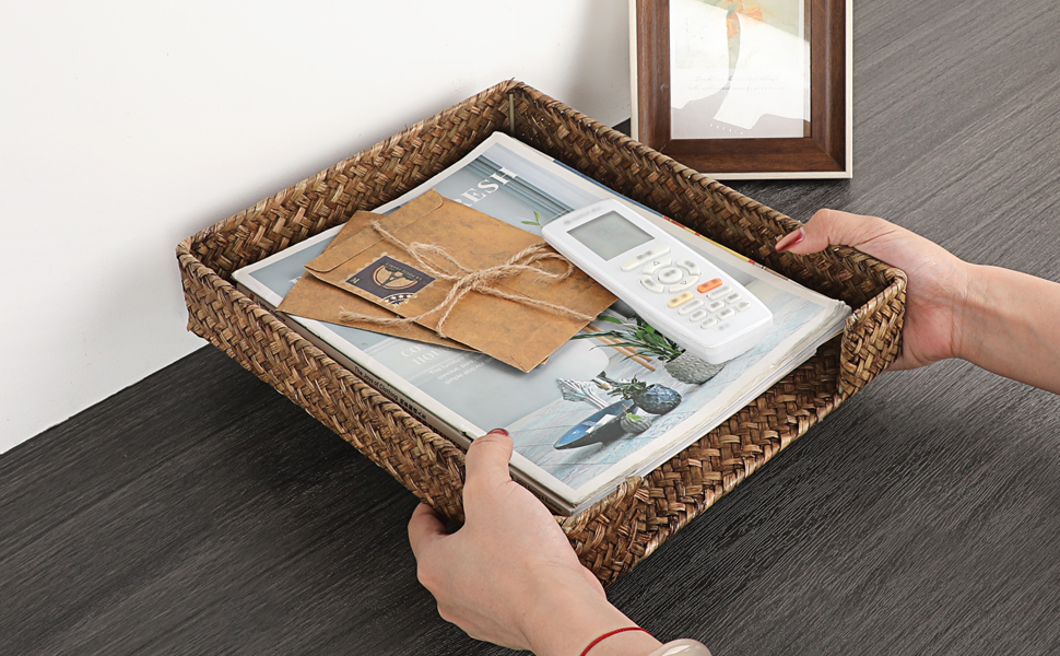 file tray