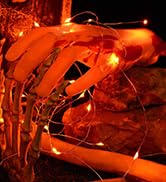 orange fairy lights