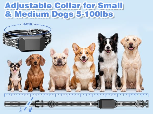 Small Shock Collar for Dogs