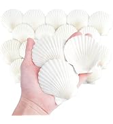 Mkobon 20 PCS Natural Scallop Shells for Crafts, 3 Inch White Seashell Decor for Home, Sea Shells...