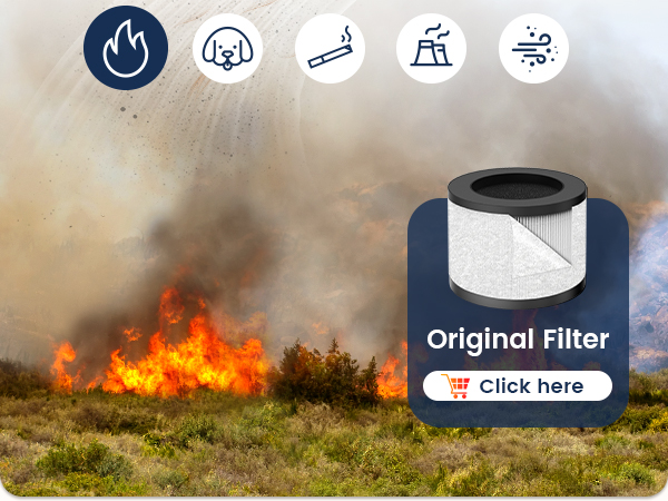 air purifier