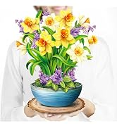 Airpark Pop Up Flower Card, 3D Paper Flowers Bouquet, Birthday, Thank You, Get Well Spring Greeti...