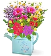 Hierein Birthday Cards for Women, Wildflower Watering Can Pop Up Cards, 3D Popup Birthday Gifts C...