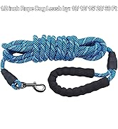 long dog leash