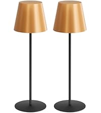 https://m.media-amazon.com/images/I/316-5y9wQsL.__AC_SR200,225___.jpg