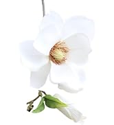 WNHNO White Artificial Magnolia Fake Silk Flower Single Floral Home Decor Living Room Bedroom Gar...