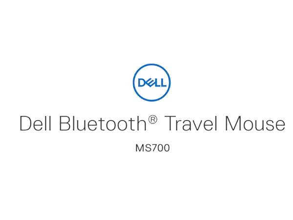 Travel Mouse