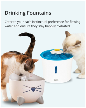 Catit Fountain