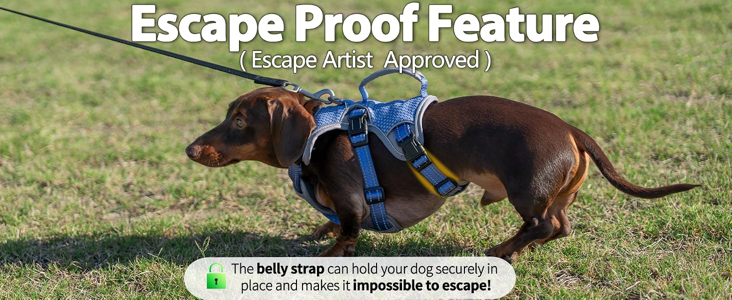 escape proof dog harness