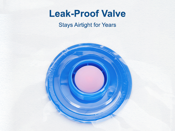Leak-Proof Valve