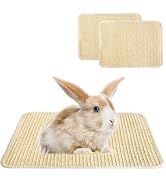 Jevnd 2PCS Large Rabbit Scratching Pad Indoor Edible for Claws and Teeth Grinding Chew Toys, Rabb...