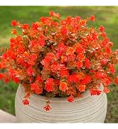 alyptus Artificial Flowers – 12 Bundles Fake Outdoor Fall Flowers with Greenery, UV Resistant No-...