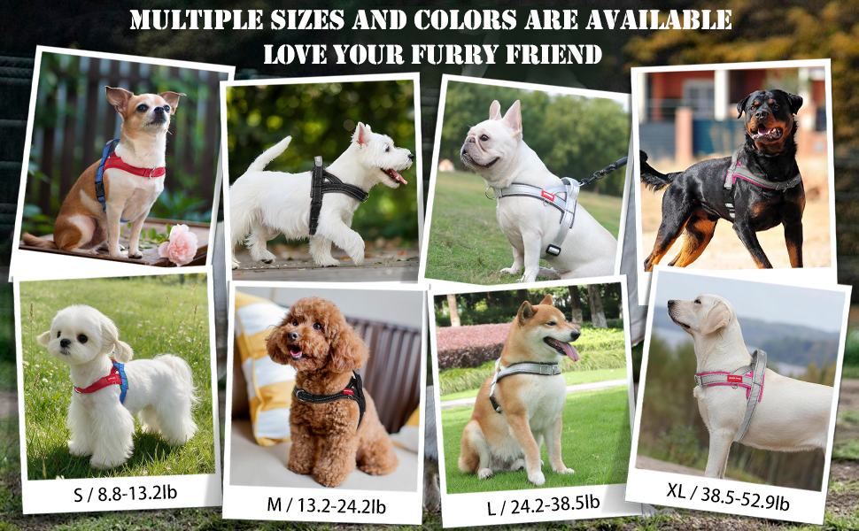 Dog Harness