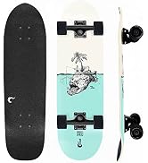 Fireball Mini Cruiser Longboard Skateboard Complete - Fully Assembled & Ready to Ride 29.5 x 8.5”...