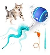 ddxcoo Interactive Cat Toy Ball for Indoor Cats with 3-Mode Touch Activated | Tangle-Free Tail, R...