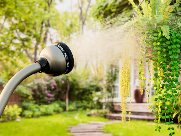 Hanging Basket Watering