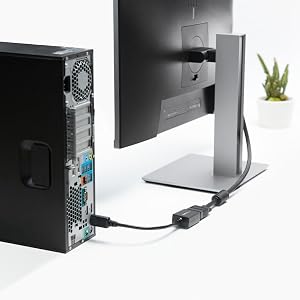 DisplayPort to VGA