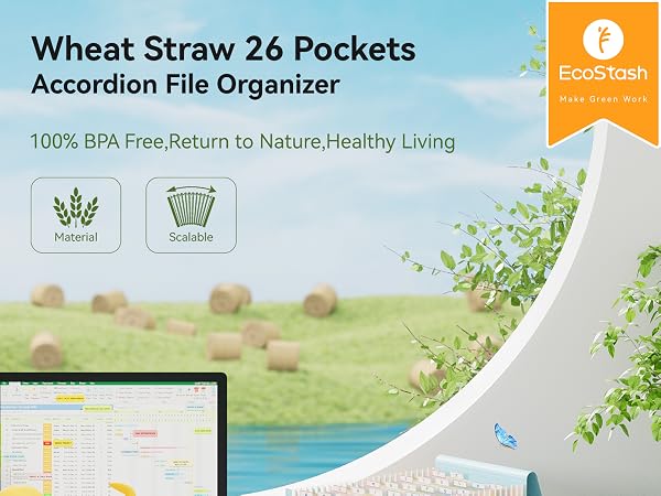 file organizer