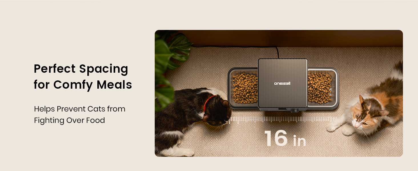 automatic cat feeder