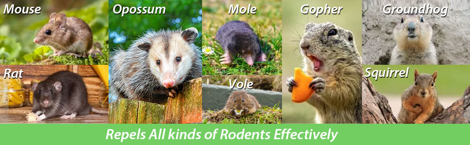 Rodent Repellent
